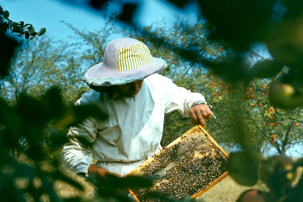 Green Livelihoods & Women’s Enterprise