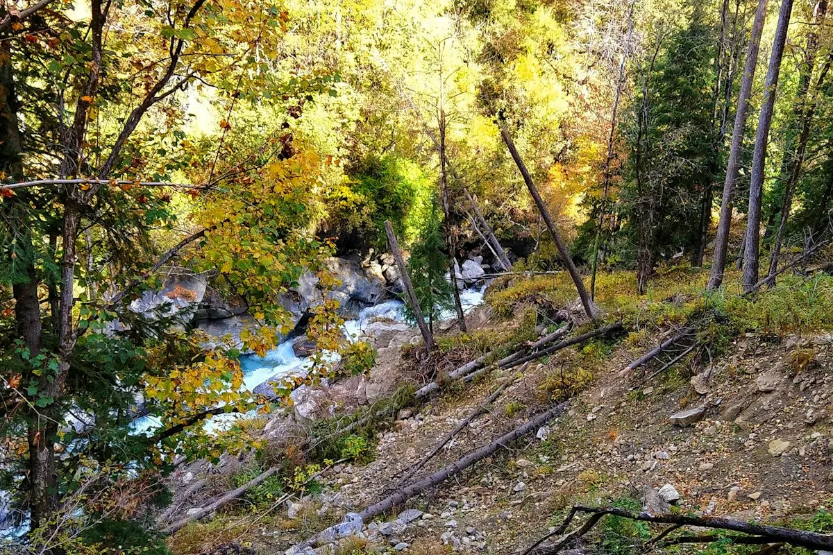 Springs, Water & Watershed