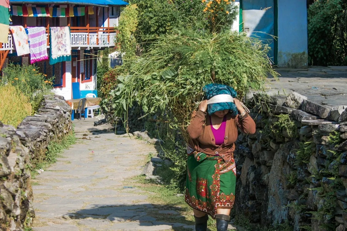 Forty thousand saplings planted in Kavre’s monsoon drive